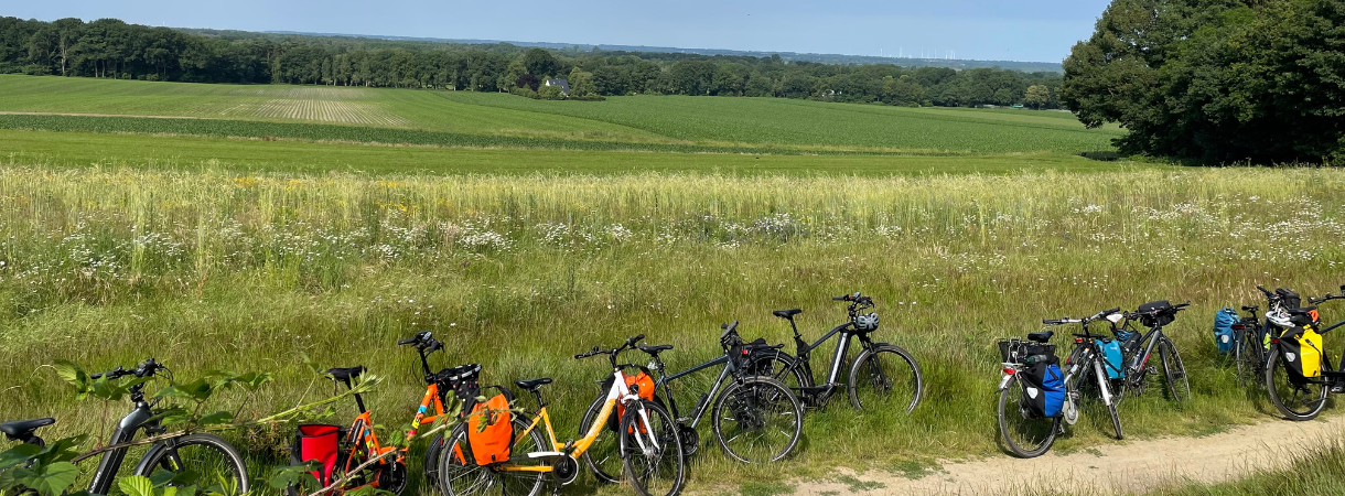 Mehrere Fahrräder stehen am Wegrand auf einem Hügel, im Hintergrund der Horizont