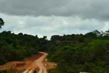 Foto aus dem brasilianischen Amazonas-Regenwald, man sieht eine breite Autospur mitten durch den Wald.