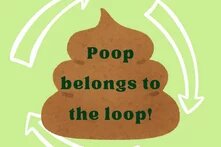 Häufchen, darüber "Pool belongs to the loop" 