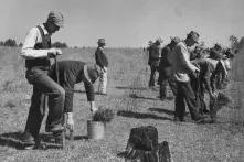 Foto des Civilian Conservation Corps