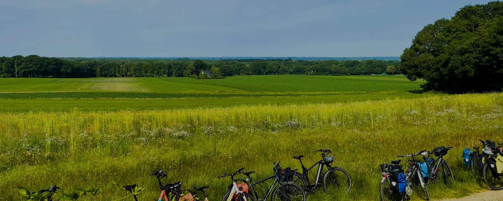 Fahrräder vor Feldern und Wäldern