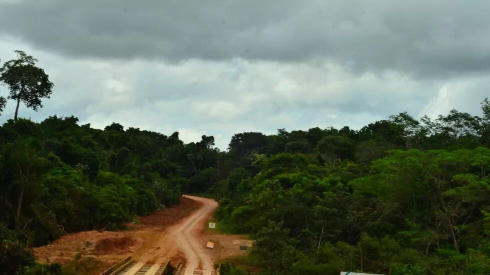Foto aus dem brasilianischen Amazonas-Regenwald, man sieht eine breite Autospur mitten durch den Wald.