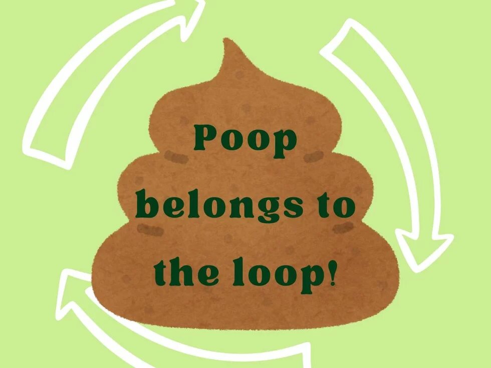 Häufchen, darüber "Pool belongs to the loop" 