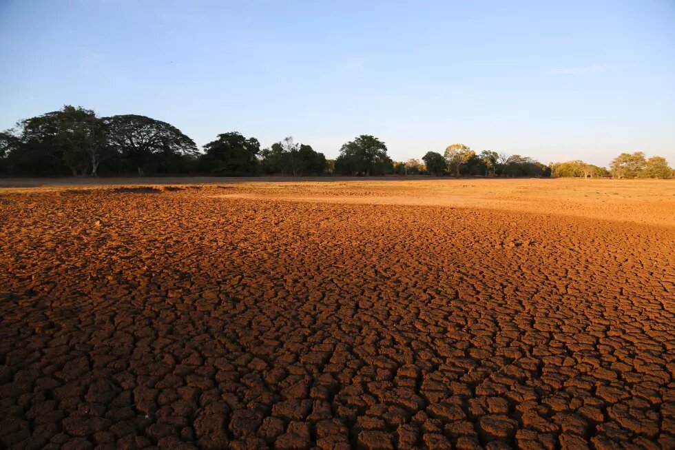 Dry river bed in SriLanka Dry river bed in SriLanka